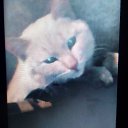 ���� ������, ������, 55 ��� - ��������� 1 ������� 2025