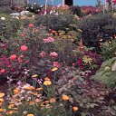 ���� ������, ������, 71 ��� - ��������� 24 ������ 2024 � ������ ���� ����������