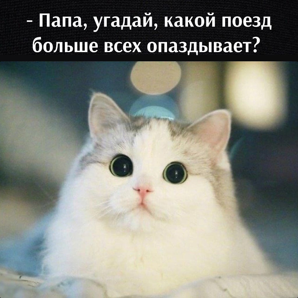 ��� ���� � ����� �� �� - 24 ������� 2025 � 18:03