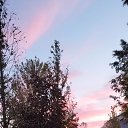 ���� ����, ��������, 59 ��� - ��������� 7 ������� 2024 � ������ ���� ����������