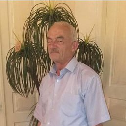 ������, ����, 67 ���