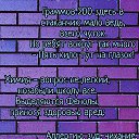 ���� ����, �������, 41 ��� - ��������� 9 ������ 2024 � ������ ������ ��������