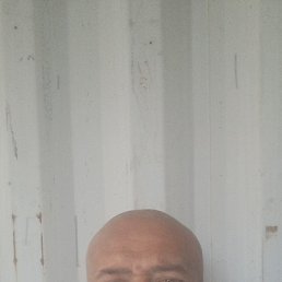 , 41, 