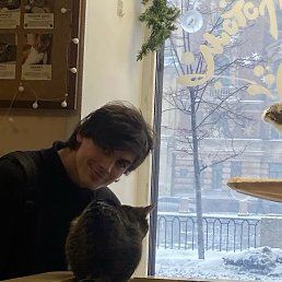 �����, ���������, 26 ���