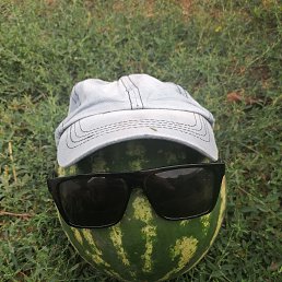  Vova, , 44  -  21  2024