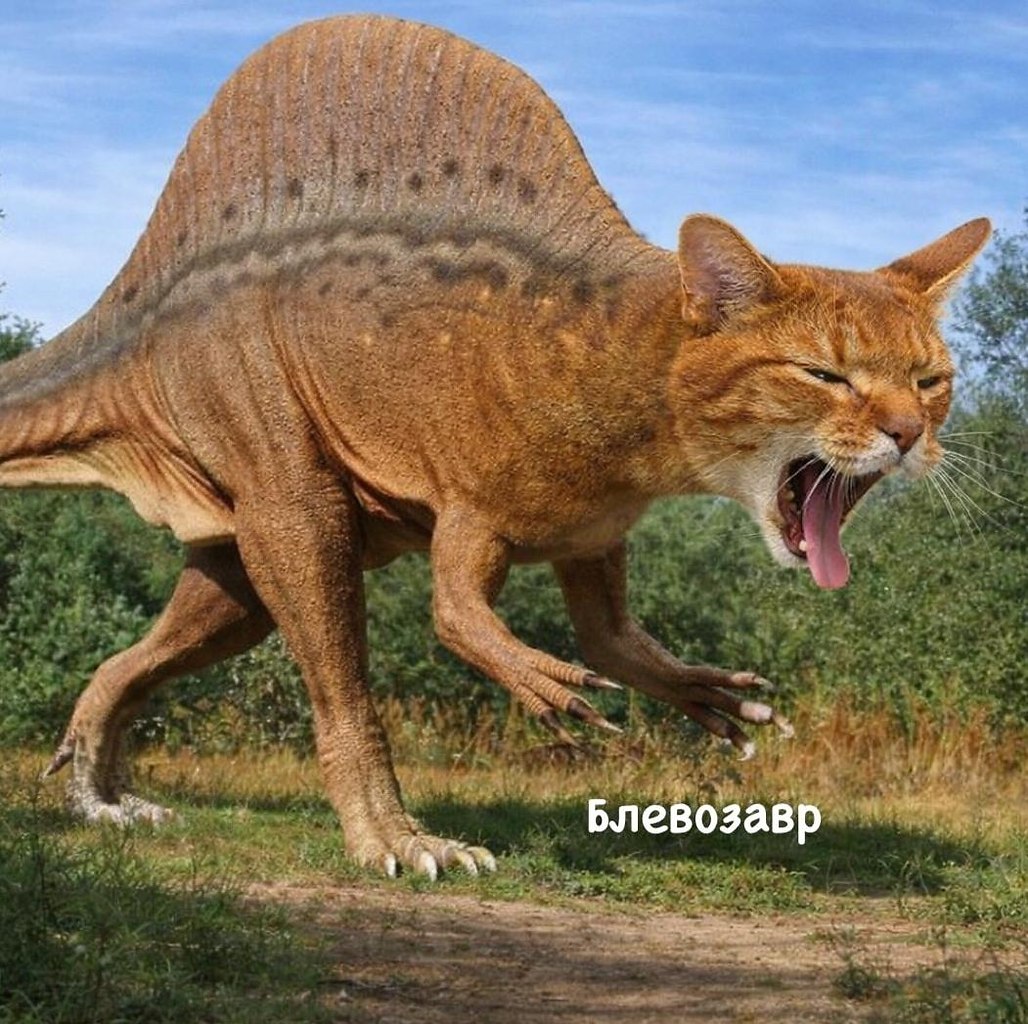 ����������������� - 9