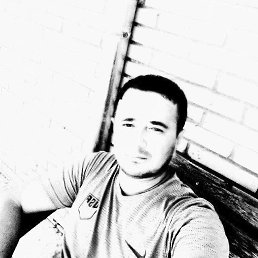 , 29, 