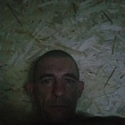 , 43, 