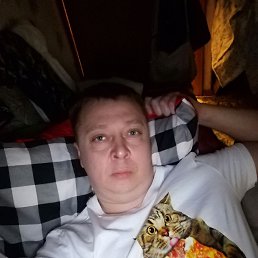 ���� �����, ������, 40 ��� - ��������� 17 ������� 2024