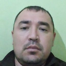 ������, �����, 37 ���