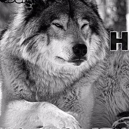 �������, �����, 45 ���