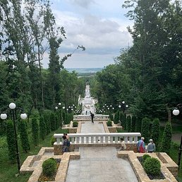 ��������, ������, 46 ���