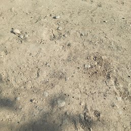���� �����, �����-���������, 31 ��� - ��������� 31 ������� 2023