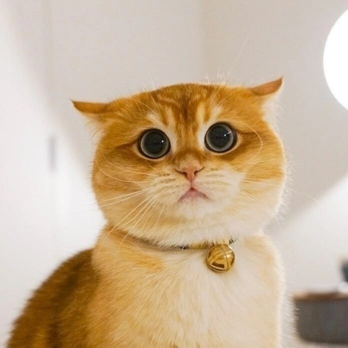       - 10  2025  21:48 - 3