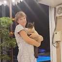 ���� ��������, ��������, 48 ��� - ��������� 20 ���� 2025 � ������ ���� ����������
