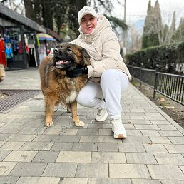 �����, ����, 42 ����