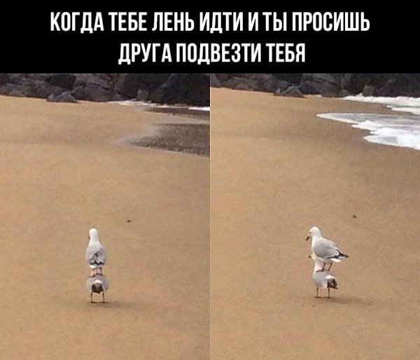    - 8  2023  08:26