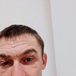 �������, ���������, 40 ���