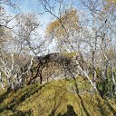 ���� �lvaro, ��������� ����� - ��������� 13 �������� 2025 � ������ ������ ��������
