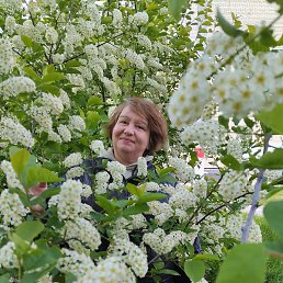 �������, ������, 51 ���