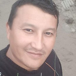 Murot, �����-���������, 39 ���