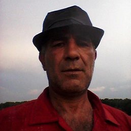 , 57, 