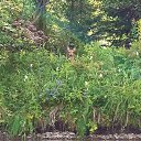 ���� �������, ���������� - ��������� 27 �������� 2025 � ������ ������ �� �,����,15-23 ���� 2025.�