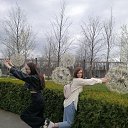 ���� ����, ���������, 39 ��� - ��������� 24 ����� 2026