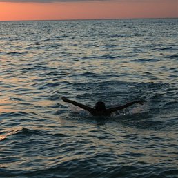 ����, ������, 49 ���