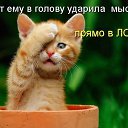 ���� Wladimir, ������, 42 ���� - ��������� 28 ��� 2025
