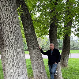 ������, ���������, 63 ����