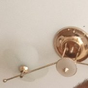 , 38 , 
