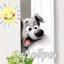 ���� ����� ��������, ����, 46 ��� - ��������� 3 ���� 2024