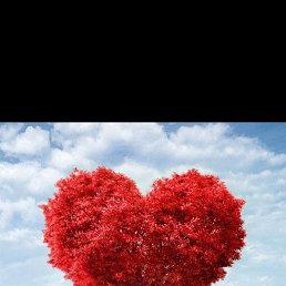 ���� �����, ������, 35 ��� - ��������� 18 ������� 2024