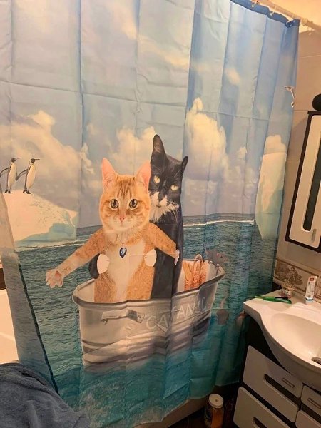 Мем с котом в ванне