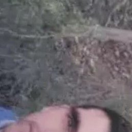 ����, ���������, 29 ���