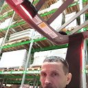 ���� ���������, �����-���������, 54 ���� - ��������� 31 ������ 2025