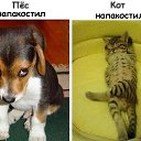 ���� �������, ������ - ��������� 8 ������� 2026 � ������ �������