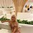 ���� �����, ������, 52 ���� - ��������� 12 ���� 2026