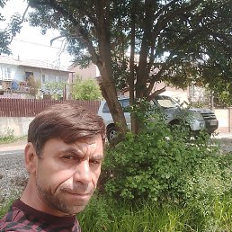 ���� Valera, �����-���������, 43 ���� - ��������� 24 ��� 2026