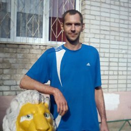 , 43, 