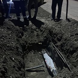 �������, ������, 36 ���