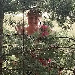 ��� �, �������