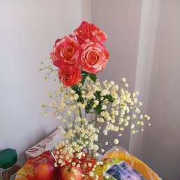 ���� �����, ����-���, 51 ��� - ��������� 12 ������� 2026