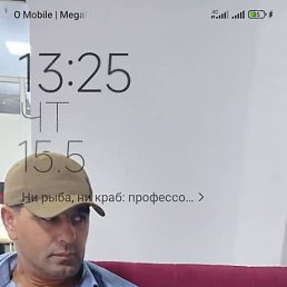 ������, ������, 42 ����