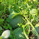 ���� �����, �������, 54 ���� - ��������� 28 ���� 2024 � ������ ������ ��������