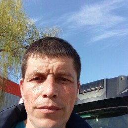 , 40, 