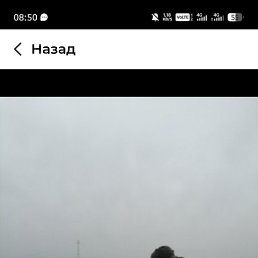 ���� �����, ���������, 45 ��� - ��������� 6 ���� 2026