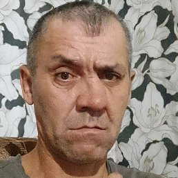 ����� �����������, �����-���������, 48 ���