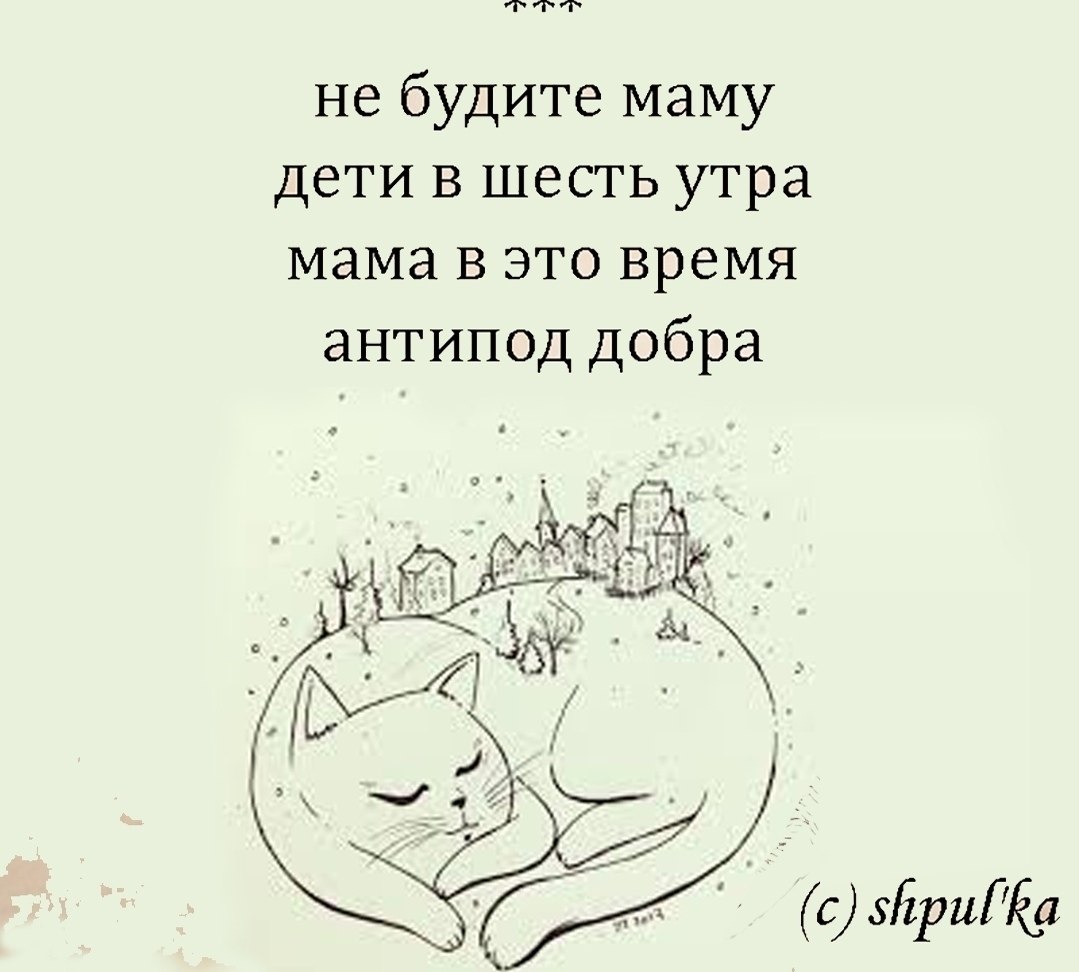 ������ - 3